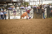 CERMAK, COOPERDSC_4724.JPG