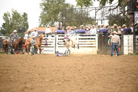 HEMMINGSON, KNUTEDSC_5795.JPG