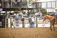 KNIPPLING, RYATTDSC_4790.JPG
