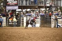 KNIPPLING, RYATTDSC_4795.JPG