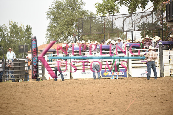 SANDQUIST, MARKDSC_6003.JPG