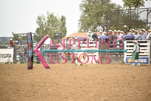 SANDQUIST, MARKDSC_6007.JPG