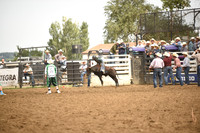 STIRLING, BRIDGERDSC_4528.JPG