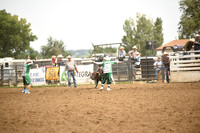 STIRLING, BRIDGERDSC_4531.JPG