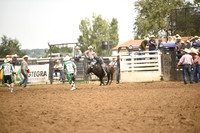 STIRLING, BRIDGERDSC_4529.JPG