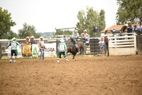 STIRLING, BRIDGERDSC_4530.JPG
