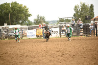 STIRLING, BRIDGERDSC_4533.JPG