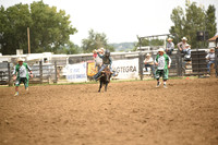 STIRLING, BRIDGERDSC_4534.JPG