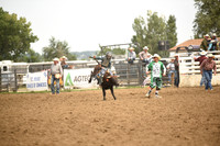 STIRLING, BRIDGERDSC_4536.JPG