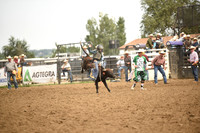STIRLING, BRIDGERDSC_4537.JPG