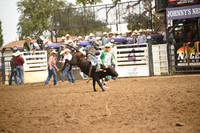 STIRLING, BRIDGERDSC_4539.JPG