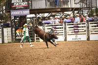 STIRLING, BRIDGERDSC_4541.JPG