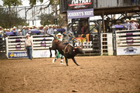 STIRLING, BRIDGERDSC_4540.JPG