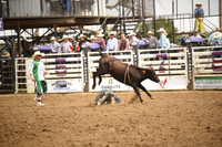 STIRLING, BRIDGERDSC_4542.JPG