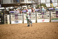 STIRLING, BRIDGERDSC_4544.JPG