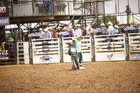STIRLING, BRIDGERDSC_4545.JPG