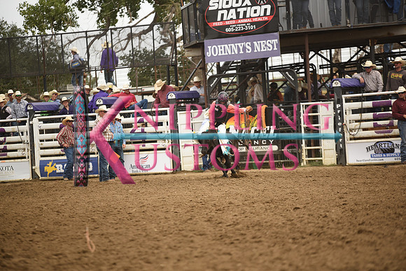 STUEN, TAYLORDSC_4582.JPG