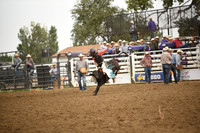 STUEN, TAYLORDSC_4584.JPG