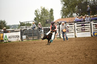 STUEN, TAYLORDSC_4585.JPG