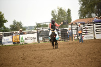 STUEN, TAYLORDSC_4586.JPG
