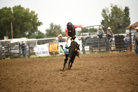 STUEN, TAYLORDSC_4588.JPG