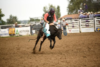 STUEN, TAYLORDSC_4591.JPG