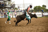 STUEN, TAYLORDSC_4594.JPG