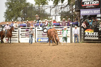 TIBBETTS, CASENDSC_6036.JPG
