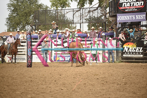 TIBBETTS, CASENDSC_6036.JPG