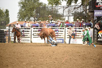 TIBBETTS, CASENDSC_6039.JPG