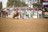 TIBBETTS, CASENDSC_6040.JPG