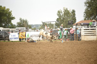 WEBORG, TAOSDSC_6102.JPG