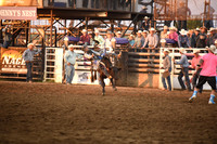 BENSON, RETRODSC_1909.JPG