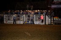 BLUEDOG, LYNDONDSC_2980.JPG