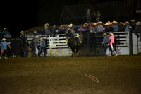 BLUEDOG, LYNDONDSC_2981.JPG
