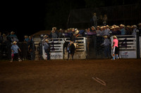 BLUEDOG, LYNDONDSC_2982.JPG