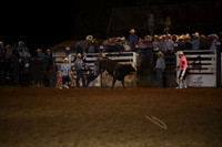 BLUEDOG, LYNDONDSC_2985.JPG
