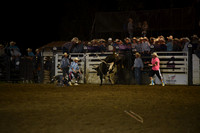BLUEDOG, LYNDONDSC_2986.JPG