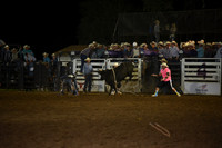 BLUEDOG, LYNDONDSC_2987.JPG