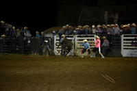 BLUEDOG, LYNDONDSC_2988.JPG