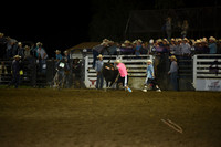 BLUEDOG, LYNDONDSC_2989.JPG