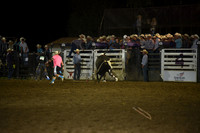 BLUEDOG, LYNDONDSC_2990.JPG