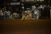 HOHN, HUNTERDSC_2784.JPG