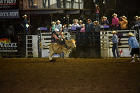 HOHN, HUNTERDSC_2785.JPG