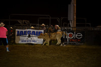 HOHN, HUNTERDSC_2793.JPG