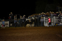MILLER, LANEDSC_3010.JPG