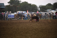 REIS, ROPEDSC_2030.JPG