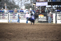 RIDINGS, CORBINDSC_1595.JPG