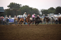 ROSE, DUSTYDSC_2019.JPG