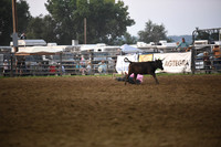 ROSE, DUSTYDSC_2024.JPG